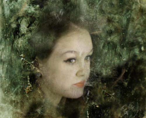 DSC01361-Art (Large)